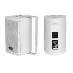 Crius Technologies CI06W 6" + Dome Tweeter Installation Speaker