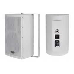 Crius Technologies CI-10W 10" + Horn Installation Speaker