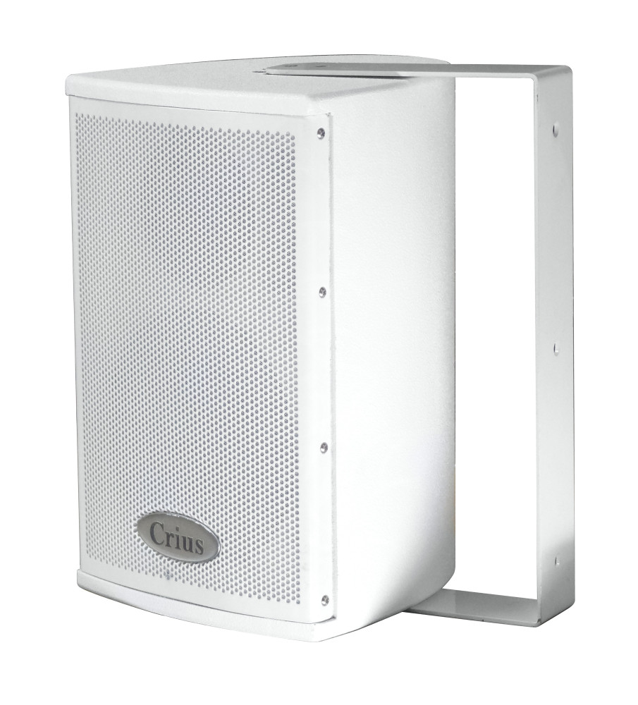 Crius Technologies CI06W 6" + Dome Tweeter Installation Speaker