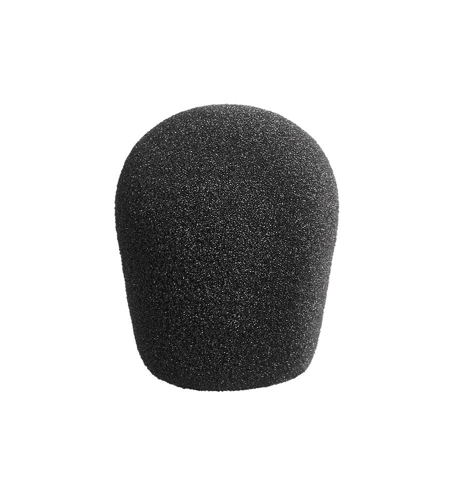 Neumann WNS 120 Windscreen