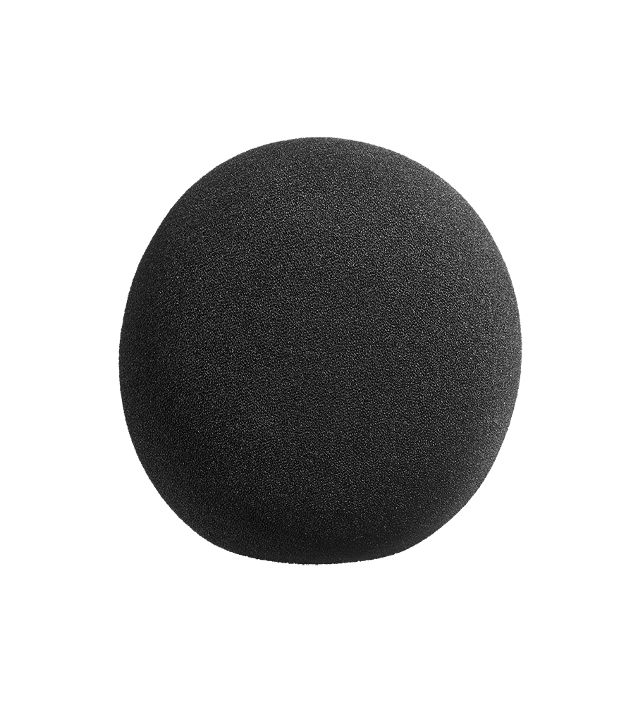 Neumann WS 47 Windscreen