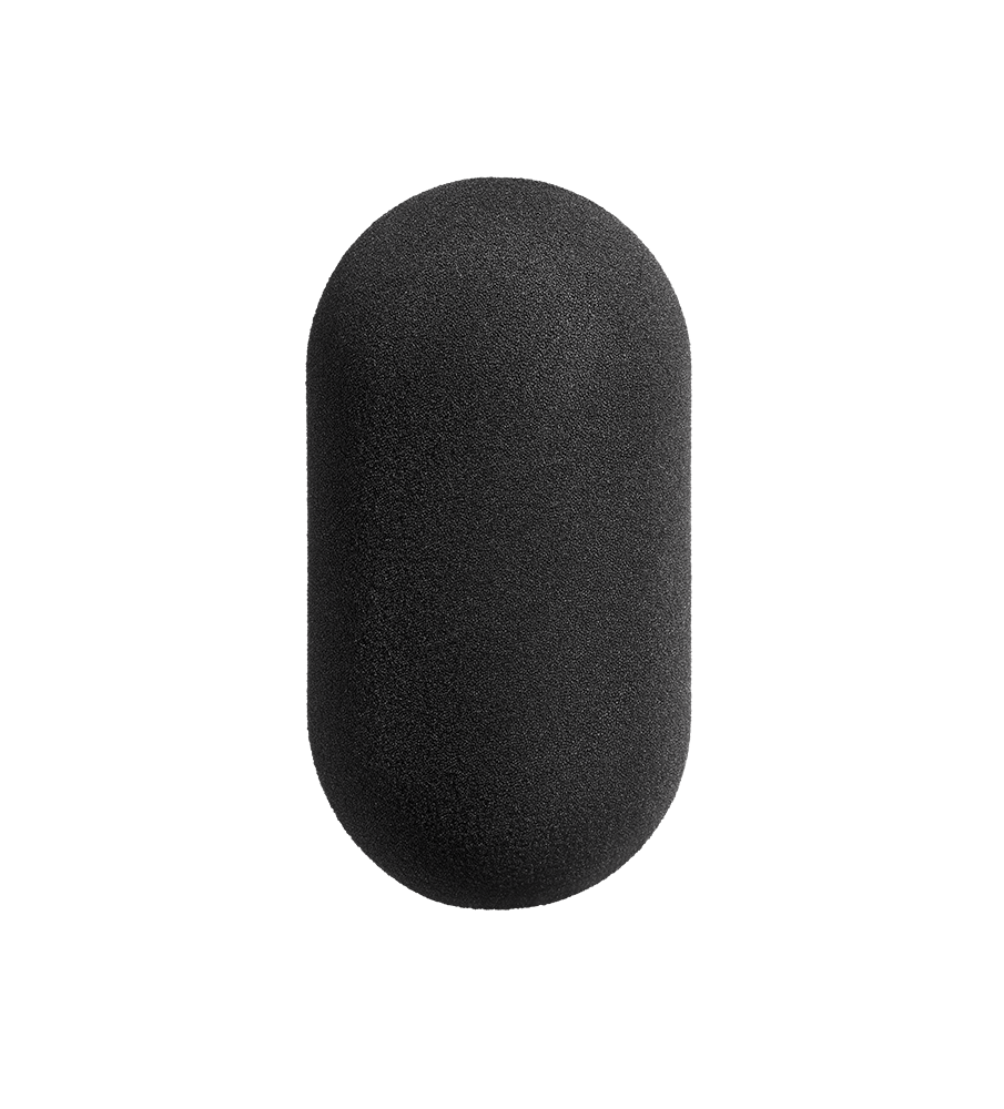 Neumann WS 69 Windscreen